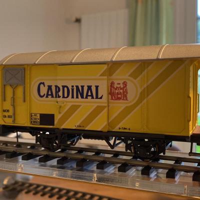 Cardinal modele